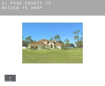El Paso County  huizen te koop
