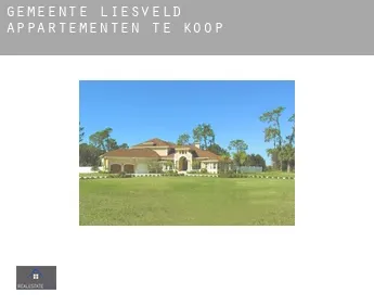 Gemeente Liesveld  appartementen te koop