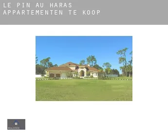 Le Pin-au-Haras  appartementen te koop