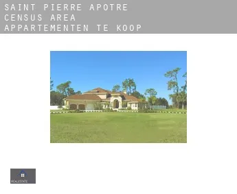 Saint-Pierre-Apôtre (census area)  appartementen te koop