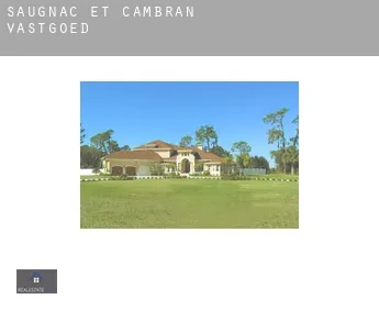Saugnac-et-Cambran  vastgoed