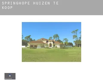 Springhope huizen te koop