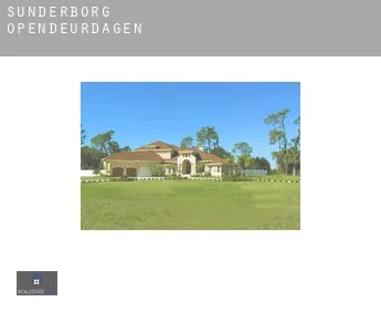 Sønderborg  opendeurdagen