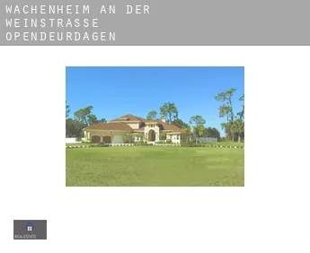 Wachenheim an der Weinstraße  opendeurdagen