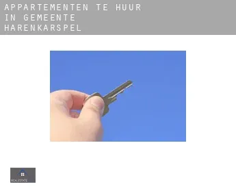 Appartementen te huur in  Gemeente Harenkarspel