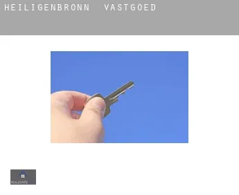 Heiligenbronn  vastgoed