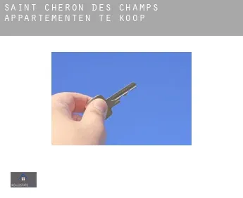 Saint-Chéron-des-Champs  appartementen te koop
