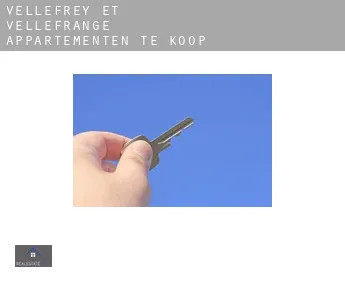 Vellefrey-et-Vellefrange  appartementen te koop