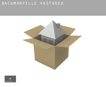 Bachmanville  vastgoed