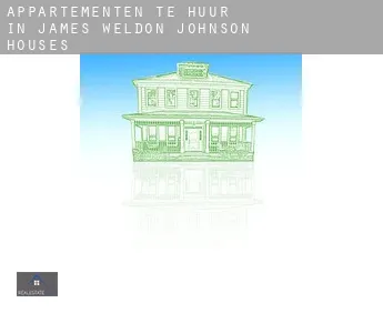 Appartementen te huur in  James Weldon Johnson Houses