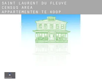 Saint-Laurent-du-Fleuve (census area)  appartementen te koop