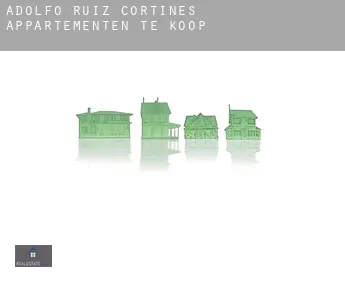 Adolfo Ruíz Cortínes  appartementen te koop