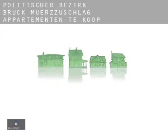 Politischer Bezirk Bruck-Muerzzuschlag  appartementen te koop