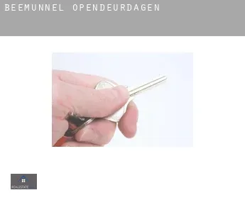 Beemunnel  opendeurdagen