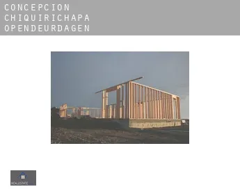 Concepción Chiquirichapa  opendeurdagen