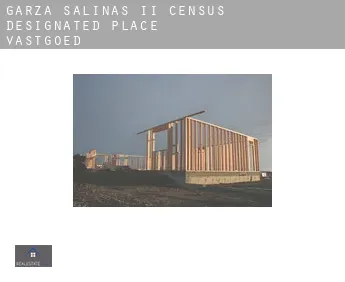 Garza-Salinas II  vastgoed