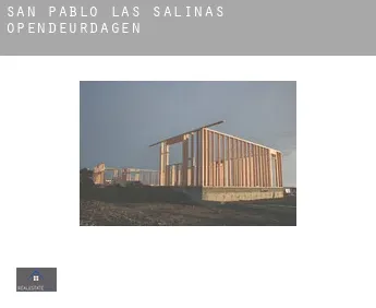 San Pablo de las Salinas  opendeurdagen
