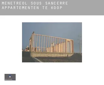 Ménétréol-sous-Sancerre  appartementen te koop