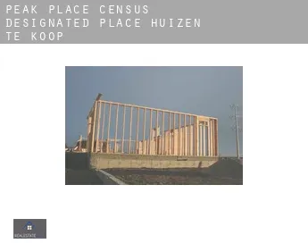 Peak Place  huizen te koop