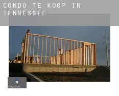 Condo te koop in Tennessee