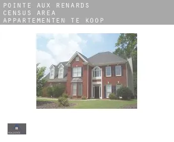 Pointe-aux-Renards (census area)  appartementen te koop