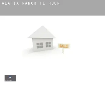 Alafia Ranch  te huur