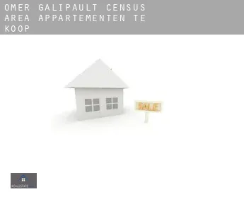 Omer-Galipault (census area)  appartementen te koop