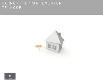 Carnot  appartementen te koop