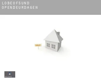 Lobeofsund  opendeurdagen