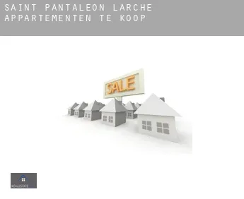 Saint-Pantaléon-de-Larche  appartementen te koop