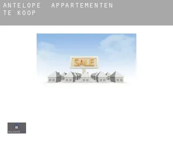 Antelope  appartementen te koop