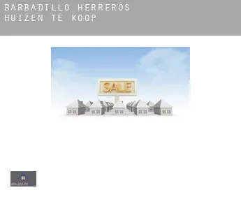 Barbadillo de Herreros  huizen te koop
