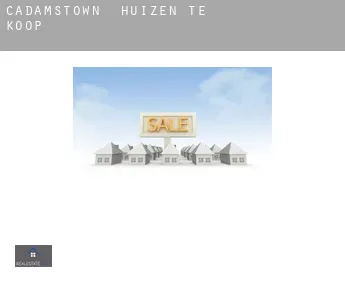 Cadamstown  huizen te koop