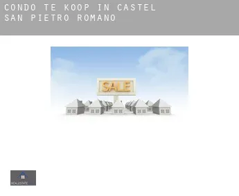 Condo te koop in  Castel San Pietro Romano