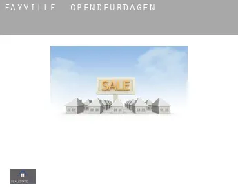 Fayville  opendeurdagen