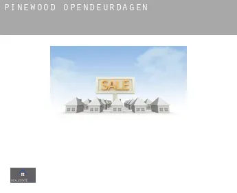 Pinewood  opendeurdagen