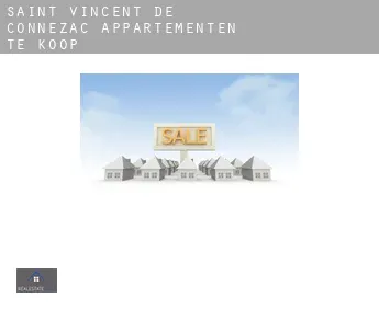 Saint-Vincent-de-Connezac  appartementen te koop