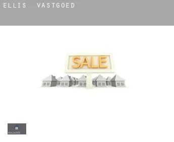 Ellis  vastgoed