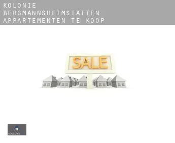 Kolonie Bergmannsheimstätten  appartementen te koop