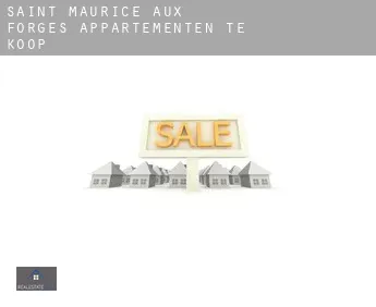 Saint-Maurice-aux-Forges  appartementen te koop