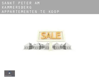 Sankt Peter am Kammersberg  appartementen te koop