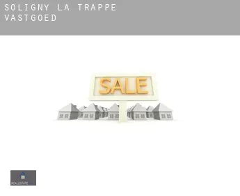 Soligny-la-Trappe  vastgoed
