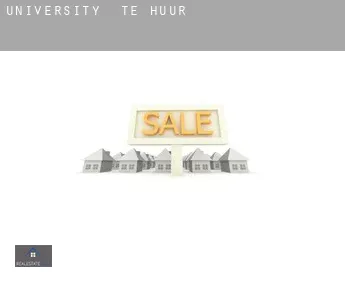 University  te huur