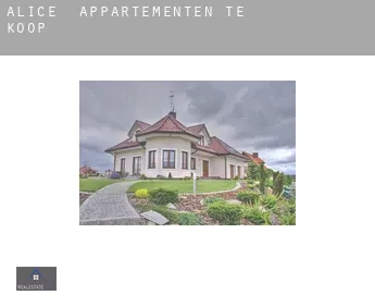 Alice  appartementen te koop