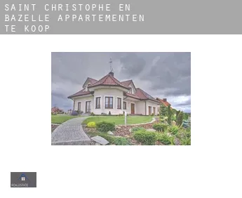 Saint-Christophe-en-Bazelle  appartementen te koop