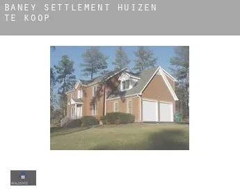 Baney Settlement  huizen te koop