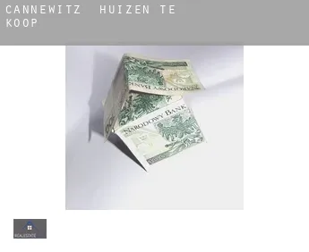 Cannewitz  huizen te koop