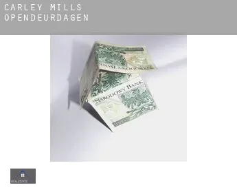 Carley Mills  opendeurdagen