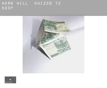 Horn Hill  huizen te koop