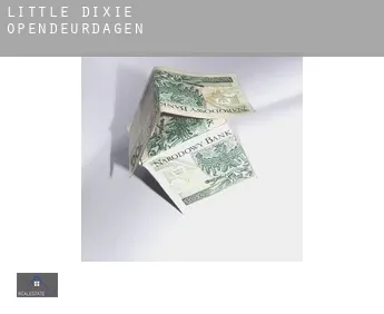 Little Dixie  opendeurdagen